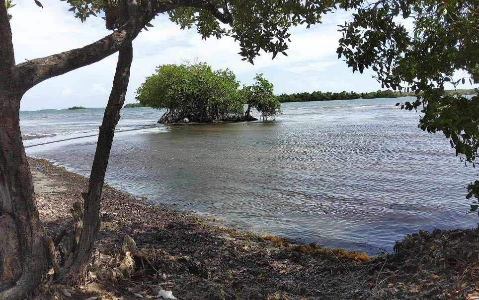 Playa Clavellina, Puerto Rico, Puerto Rico